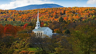 white church, nature, landscape, architecture, church