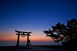 black tori, nature, landscape, torii, Japan HD wallpaper