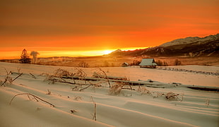 snow covered snow, nature, landscape, winter, snow