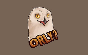 owl illustration, owl HD wallpaper