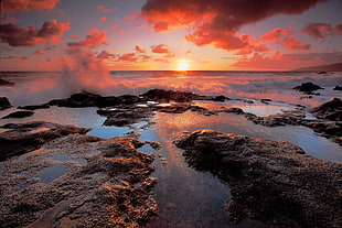 seashore under sunset