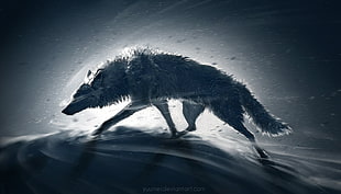 wolf digital wallpaper, animals, wolf HD wallpaper