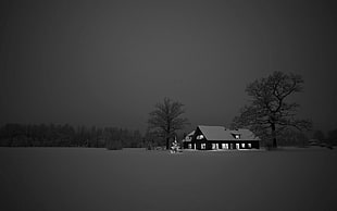 black and gray house, snow, house, dark, brown HD wallpaper