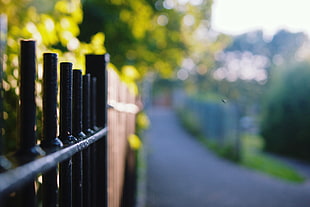 close-up photography of black metal fence HD wallpaper