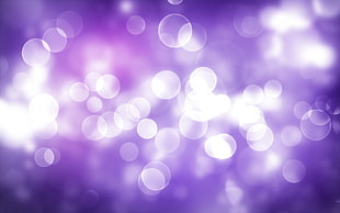 purple blurred lights photography