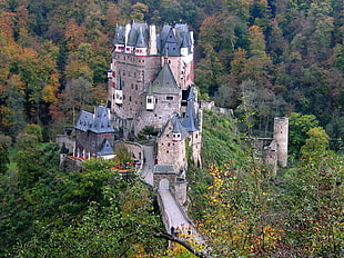 brown brick castle, Eltz Castle, Germany, forest, castle HD wallpaper
