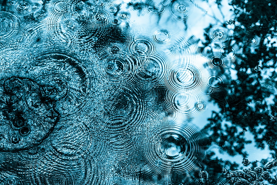 Rain, drip, circle, water HD wallpaper | Wallpaper Flare