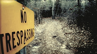 No Trespassing signage, exploring, trespassing, forest, sign HD wallpaper