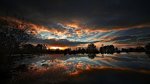 golden hour, sunset, nature, lake, trees HD wallpaper
