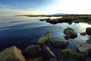 coastal rocks with calm body of water at daytime, ardrossan HD wallpaper