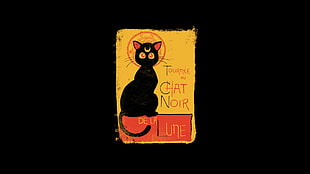 Chat Noir De La Lune, Sailor Moon