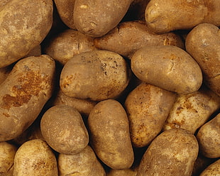 close photo of brown potatoes HD wallpaper