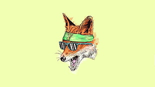 fox wearing sunglasses with letter f printed headband artwork HD wallpaper
