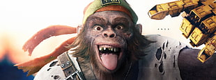 monkey wearing green and orange beanie illustration HD wallpaper