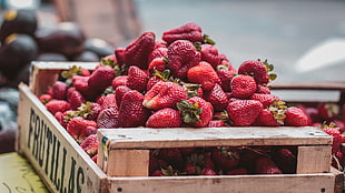 strawberry fruits, Strawberries, Berries, Basket HD wallpaper