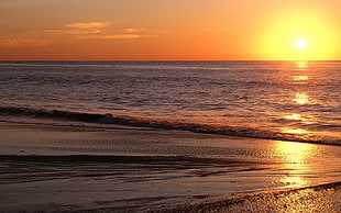 seashore during sunset