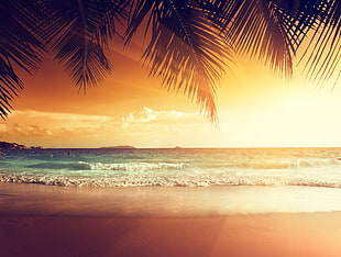 white sand beach, landscape, beach, tropical, Sun HD wallpaper