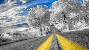 asphalt road, landscape, road, sky, clouds