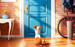 max from the secret life on pets HD wallpaper
