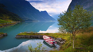 boat beside green grass during daytime