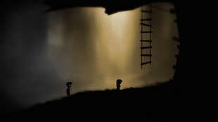 ladder hanging on tree illustration, Limbo HD wallpaper