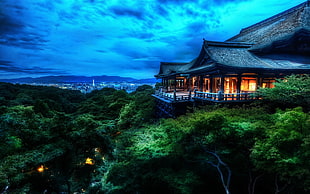 green leafed trees, city, cityscape, HDR, Japan