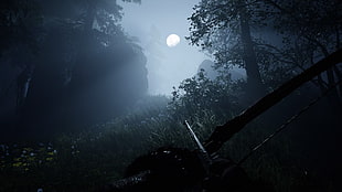 moon, PlayStation 4, far cry primal, Far Cry