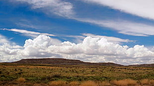 grass field, nature, landscape, clouds