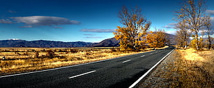 road view during day time