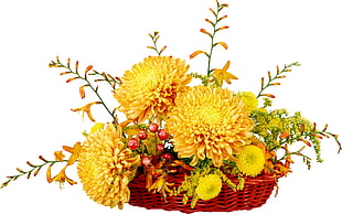 photo of yellow petaled flowers on basket HD wallpaper