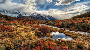 green grass, nature, HDR, landscape, river