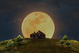 painting of brown cabin with full moon in background HD wallpaper