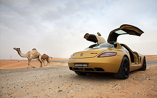 yellow Mercedes-Benz AMG gullwing, car, Mercedes-Benz SLS AMG, desert, camels