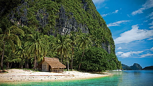 nippa hut under a rock mountain during daytime, beach, hut, tropical, nature