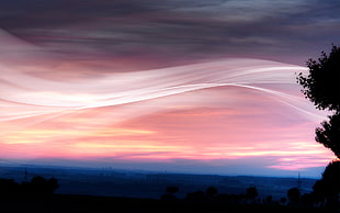 Sky,  Lines,  Trees,  Patterns