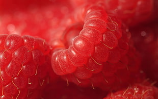 closeup photo of red raspberries