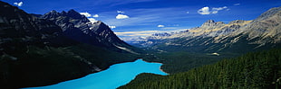 mountain valley and trees, nature, lake, forest, mountains