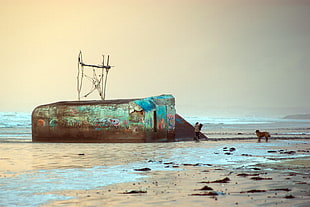 black metal ship on seashore with dog under blue sky HD wallpaper