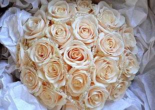 beige roses bouquet HD wallpaper