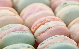 teal and pastel pink macaroons