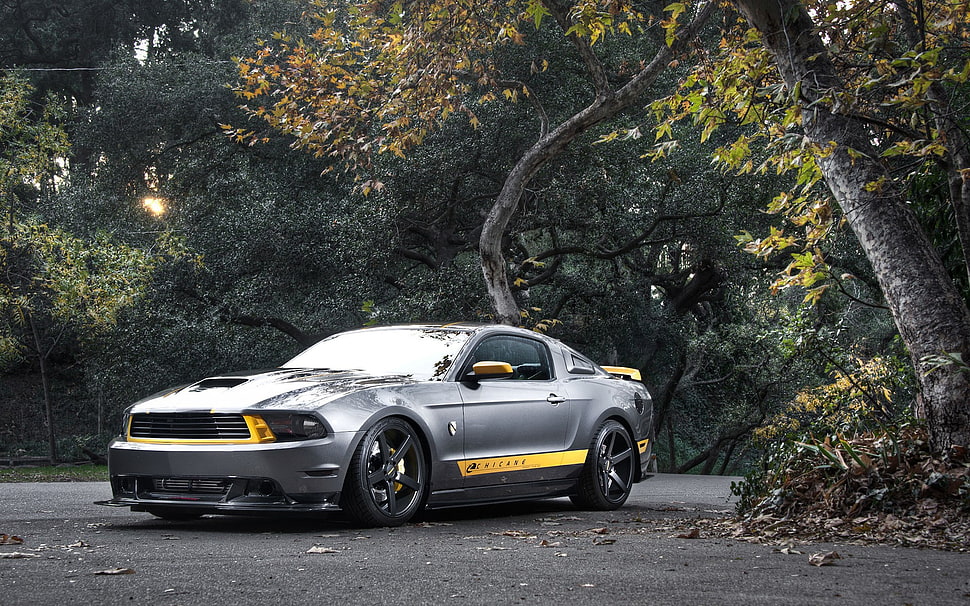 gray coupe, Ford Mustang, Ford, car, trees HD wallpaper