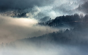 mountain covered with fogs HD wallpaper