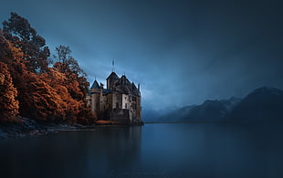 black and white concrete building, dark, castle, nature, water