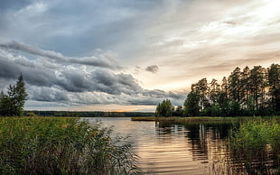 body of water and trees, nature, landscape, water, ripples HD wallpaper