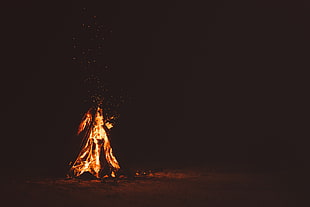 lighted bonfire, fire, wood, burning, night HD wallpaper
