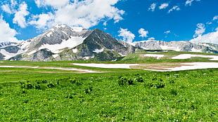 photo of green grass field over viewing snow capped mountain