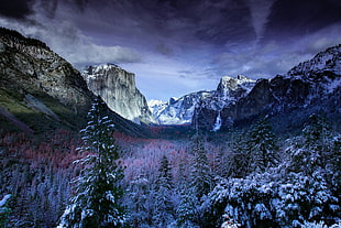 brown mountains and green forest trees, mountains, mountain pass, winter