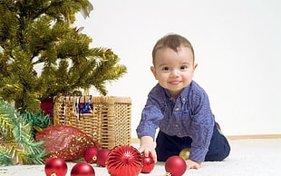 boy in blue dress shirt near basket beside the green Christmas tree HD wallpaper
