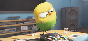 yellow and green bird on remote control HD wallpaper