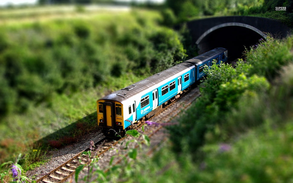 teal and white train surrounded by trees HD wallpaper